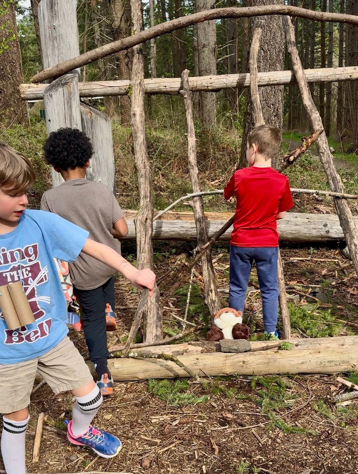 Forest Explorers kids exploring